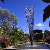Exotic Garden