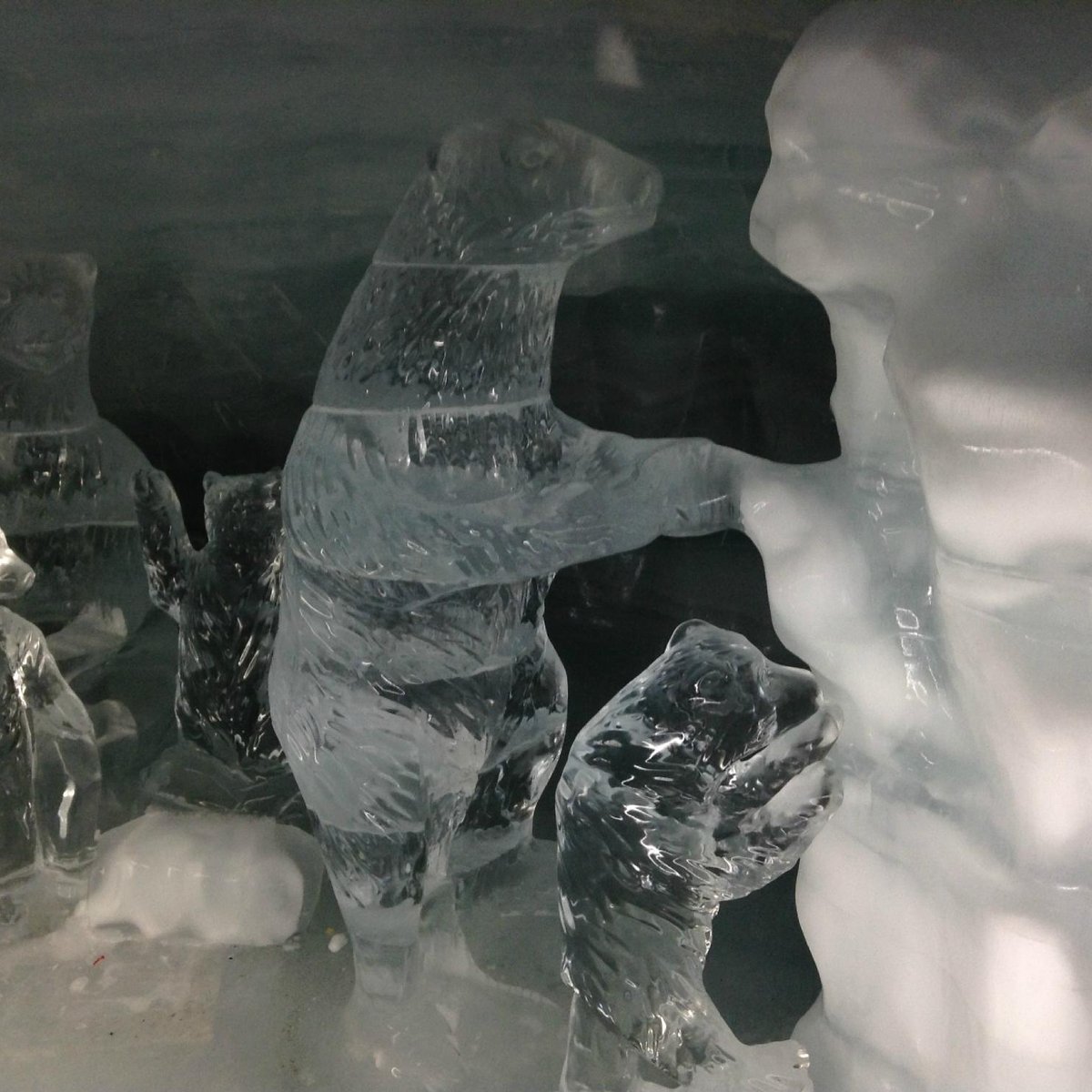 21年 氷の宮殿 行く前に 見どころをチェック トリップアドバイザー