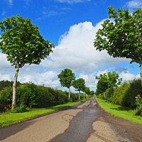 The entrance to the stones is on this lovely road