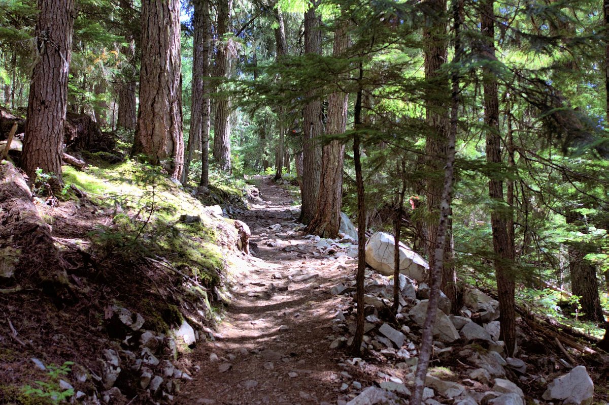 ANCIENT CEDARS TRAIL - All You Need to Know BEFORE You Go (with Photos)