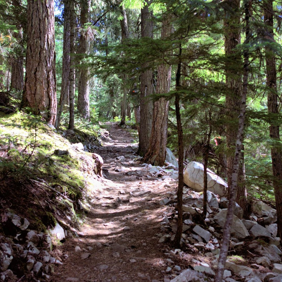 Cedar Snag and North Star Loop, British Columbia, Canada - 16 Reviews, Map