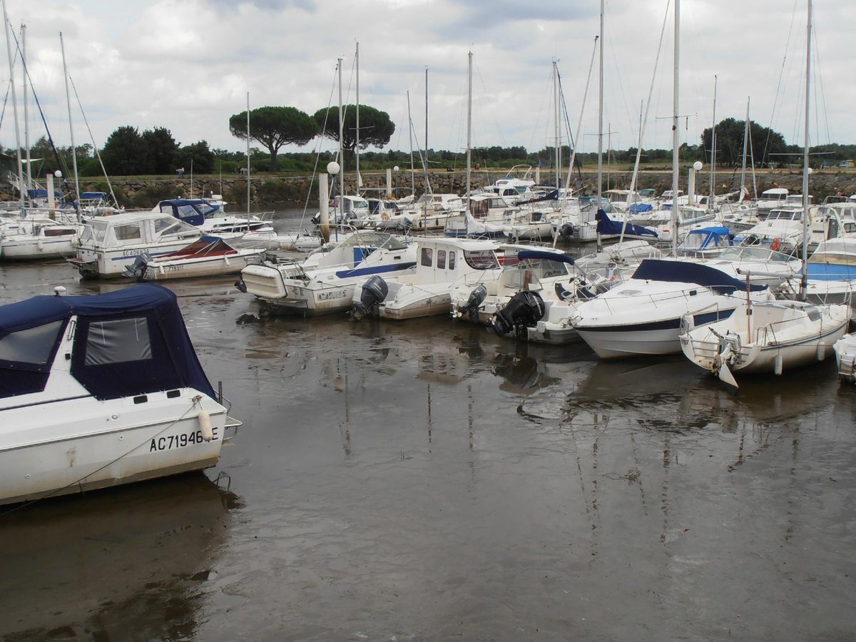 HÔTEL ALL SUITES LE TEICH Bewertungen, Fotos & Preisvergleich