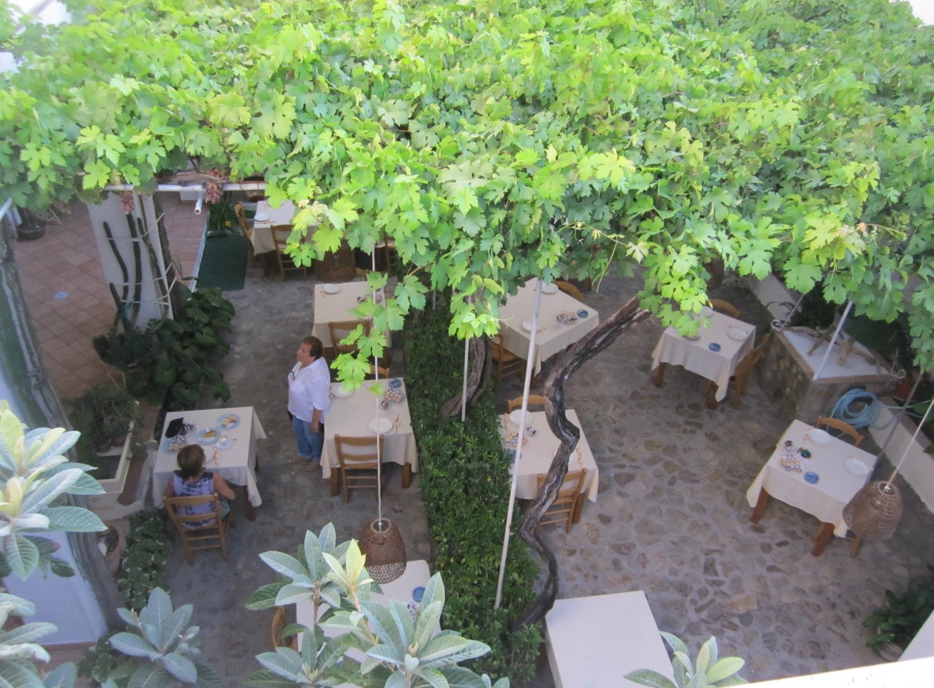 Hotel Feola by null