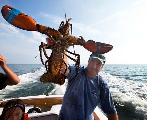 Cape Cod Family Fishing Charters - All You Need to Know BEFORE You