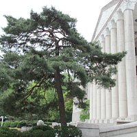 yonsei university