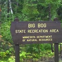 Big Bog State Recreation Area - All You Need to Know BEFORE You Go (2024)