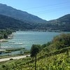 Things To Do in Lago di Caldonazzo, Restaurants in Lago di Caldonazzo