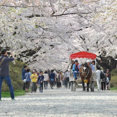 21年 北上市で絶対外さないおすすめ観光スポットトップ10 定番から穴場まで トリップアドバイザー