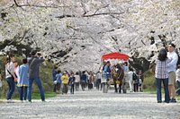 21年 ワーナー マイカル シネマズ北上 行く前に 見どころをチェック トリップアドバイザー 21年 ワーナー マイカル シネマズ北上 行く前に 見どころをチェック トリップアドバイザー