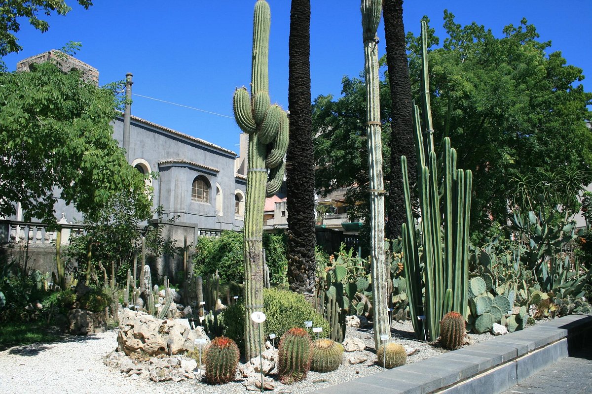 Orto Botanico dell'Università di Catania All You Need to Know
