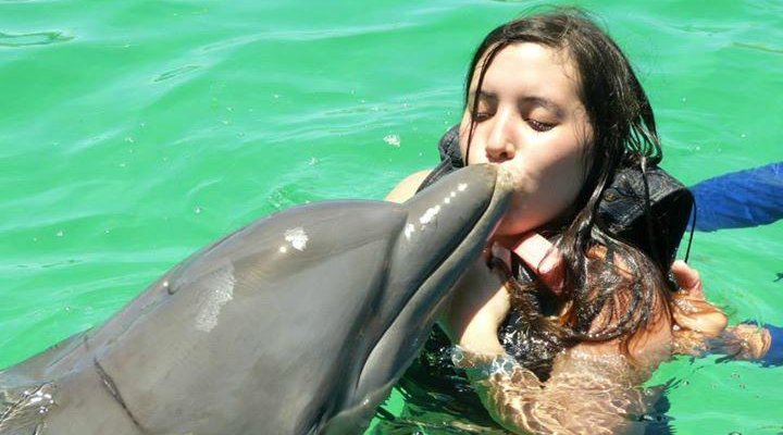 Delfin lastimado en la espalda y también en la punta de la boca 2