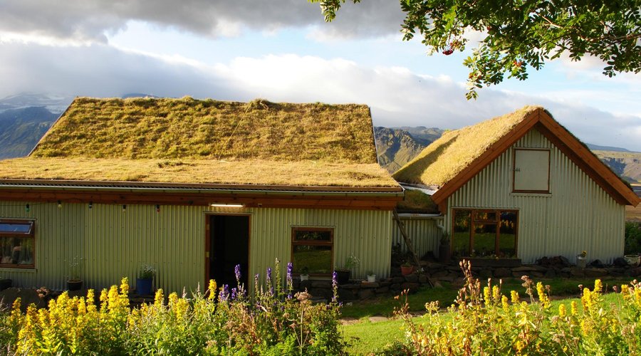new turf roof seems to be settling in well