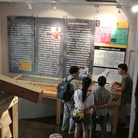 2階は珊瑚そのものの採取などの説明の展示