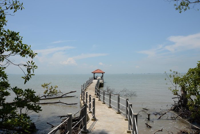 Tanjung piai pontian