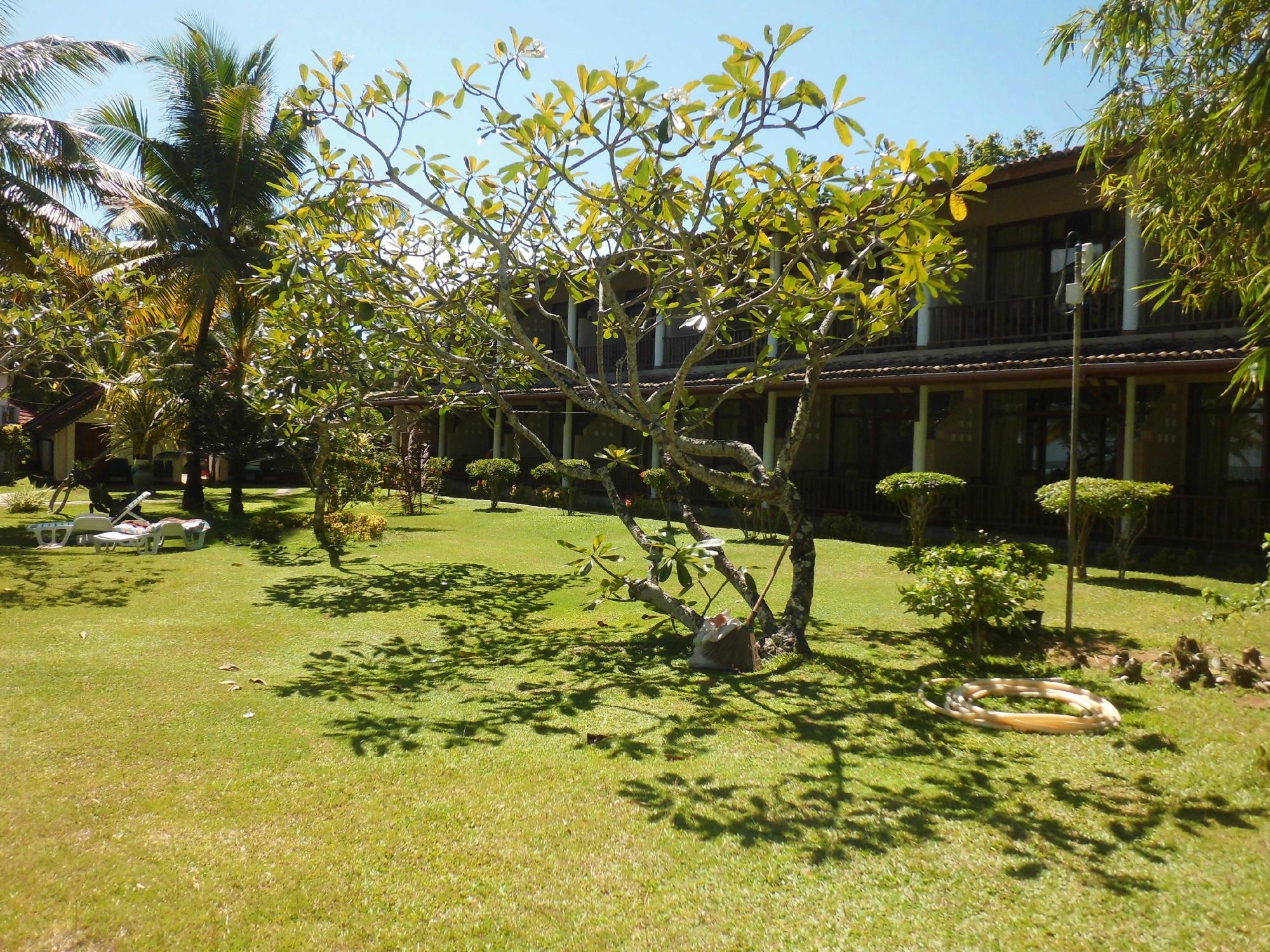 Hotel photo 27 of Paradise Beach Club.