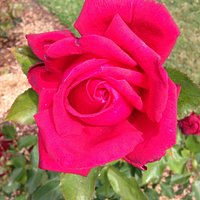 Beautiful!