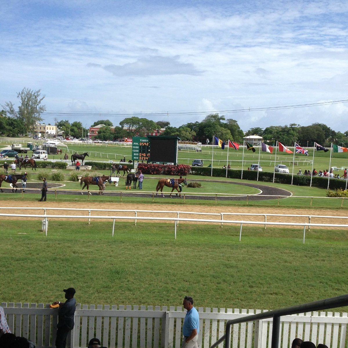 btc turf club barbados