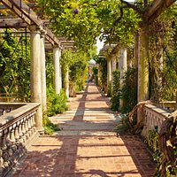 The Pergola at Hill Garden