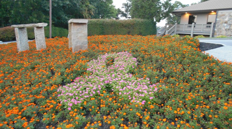 Flower Garden in front of Stonehenge