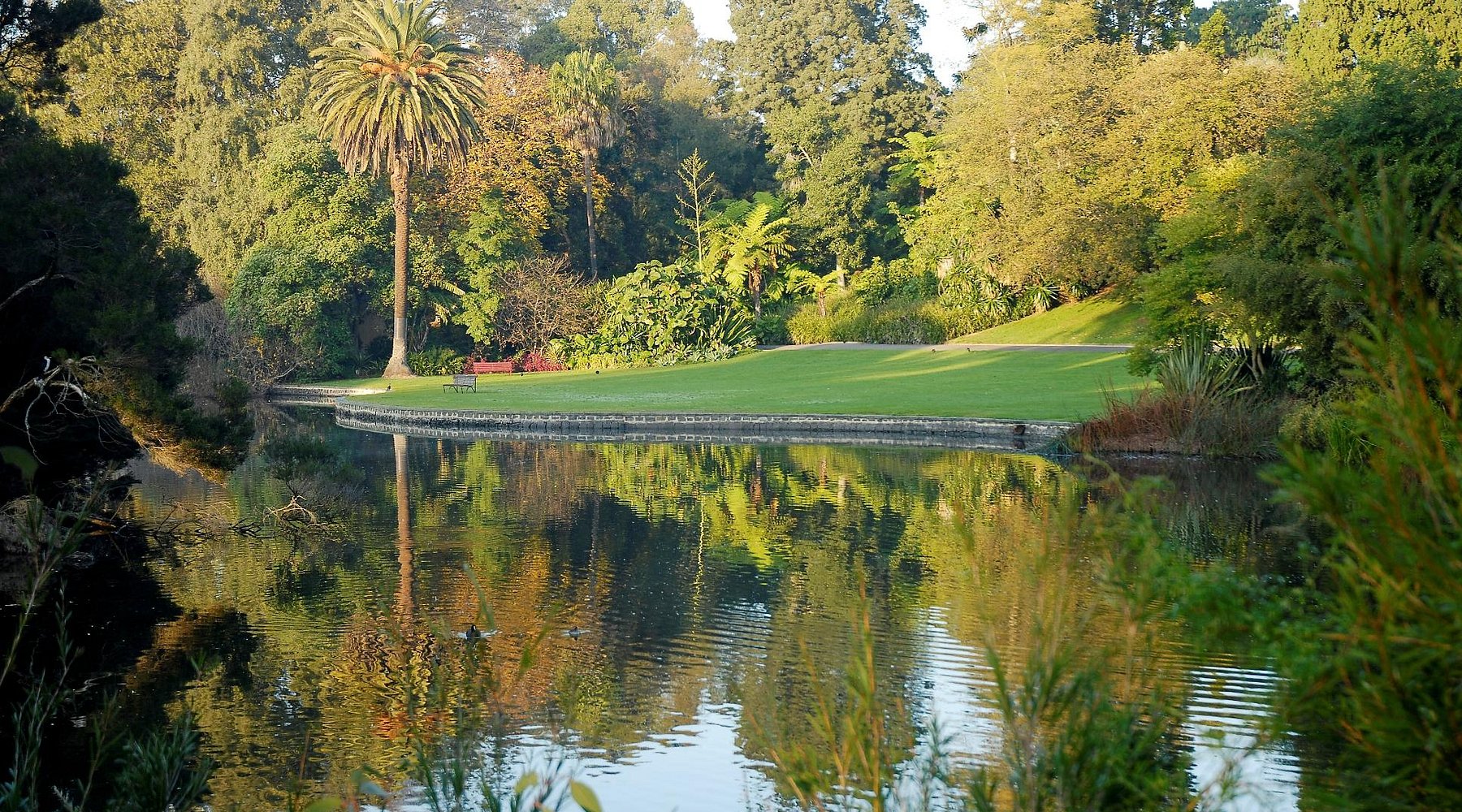 ROYAL BOTANIC GARDENS VICTORIA All You MUST Know Before You Go (2024)