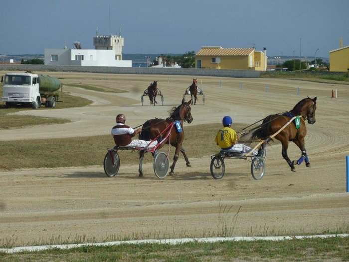 Imagen 6 de Hipódromo Torre Del Ram