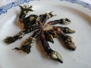Comida