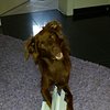 MarcelAufReisen88