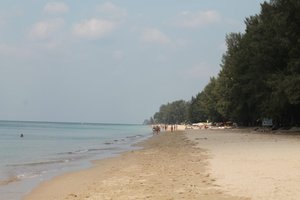 Basseng og strand