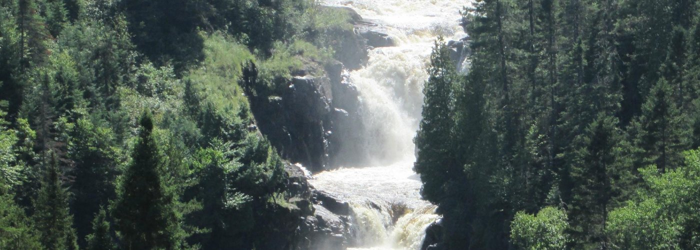 La chute