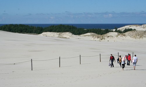 Lacka Dune 8