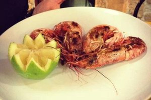 Cibo