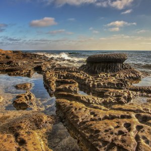 La Jolla Town Council coastal forum airs concerns about sea lions, bluffs  and Gliderport - La Jolla Light