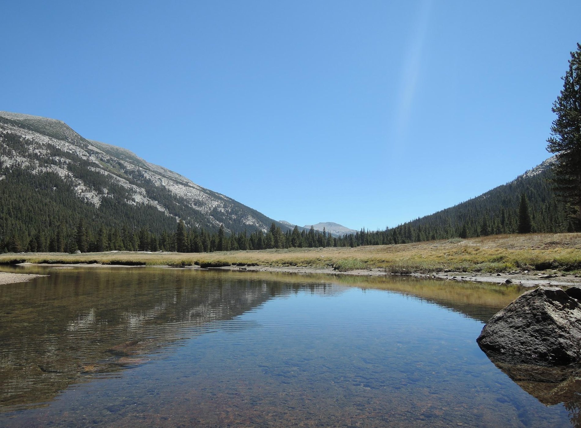 Tuolumne Meadows Campground by null