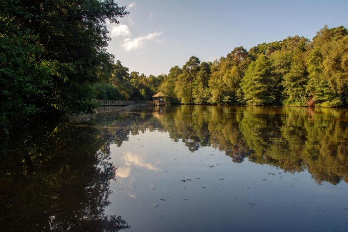Titmus Lake in Tilgate Park