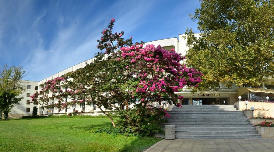 Hotel Lebed