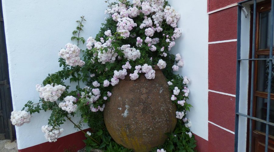 A lovely corner