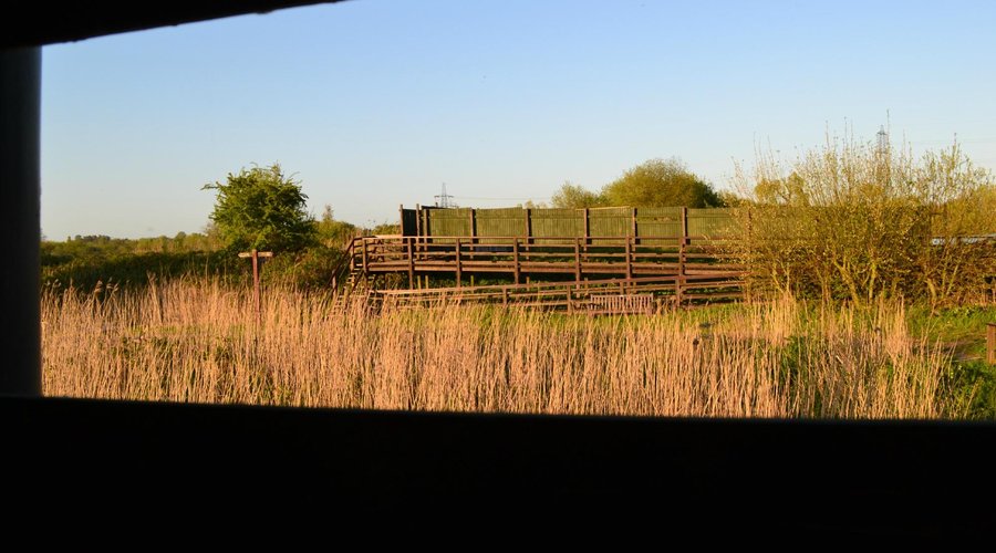 Ashby area