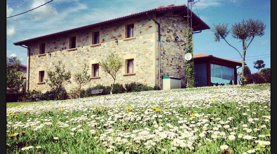 @hotelartetxe #welcomehotelartetxe #artetxecomoencasa #prowelcomers      Vista del jardín exterior