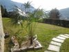 Rossella - Cernobbio
