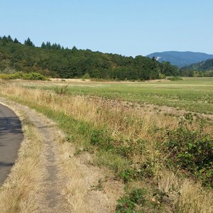 OSU to Bald Hill, Oregon - 159 Reviews, Map