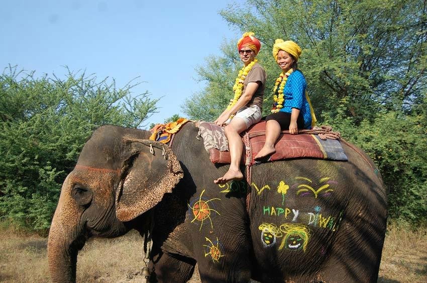 Jaipur Elephant Safari Tour