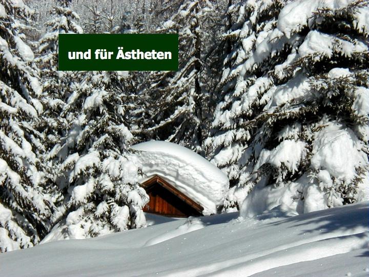 Hotel photo 7 of Hotel Alpen Residence.