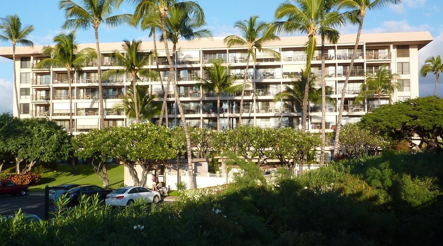 D Building at Kihei Akahi