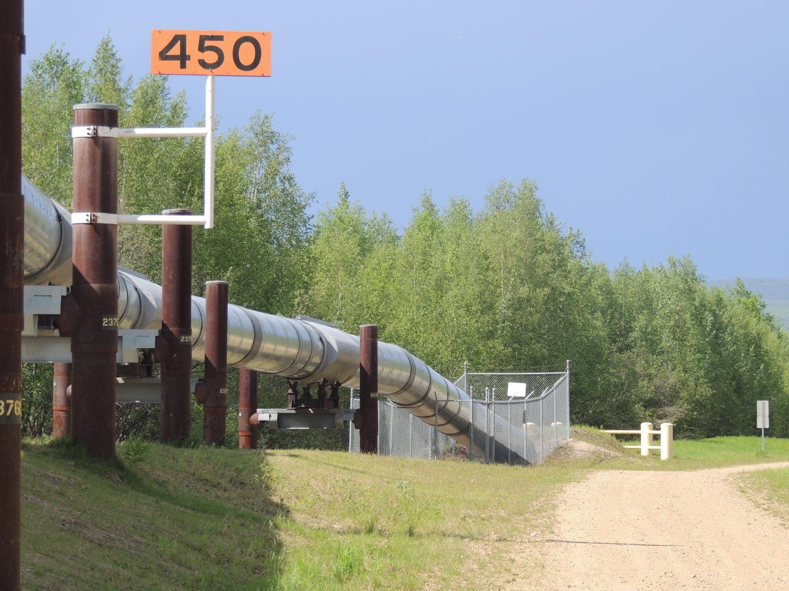 Alaskan Pipeline Condom