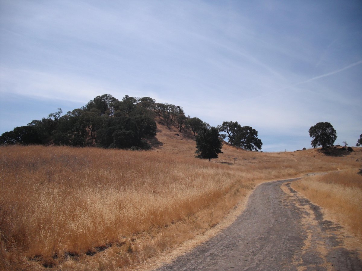 SHELL RIDGE OPEN SPACE (Walnut Creek) - All You Need to Know BEFORE You Go