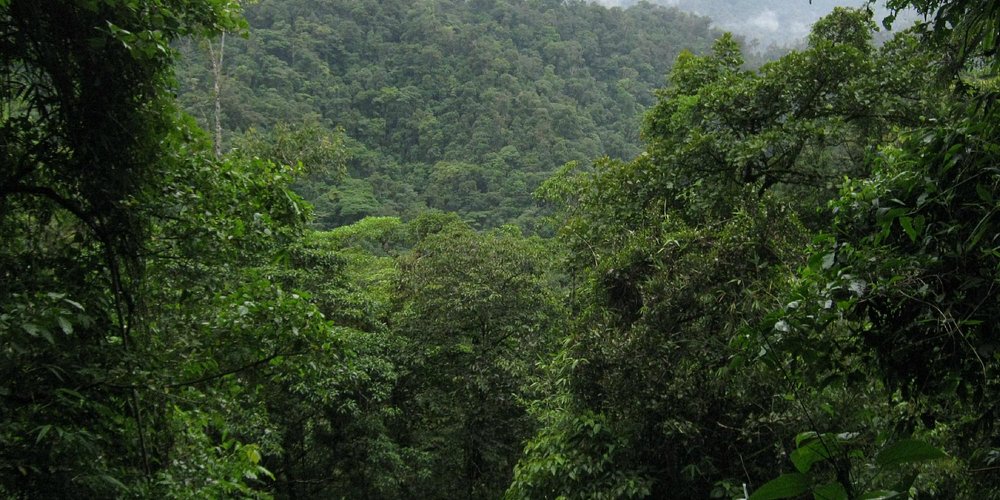 Pejibaye Costa Rica 2023 Best Places To Visit Tripadvisor pejibaye-costa-rica-2023-best-places-to-visit-tripadvisor