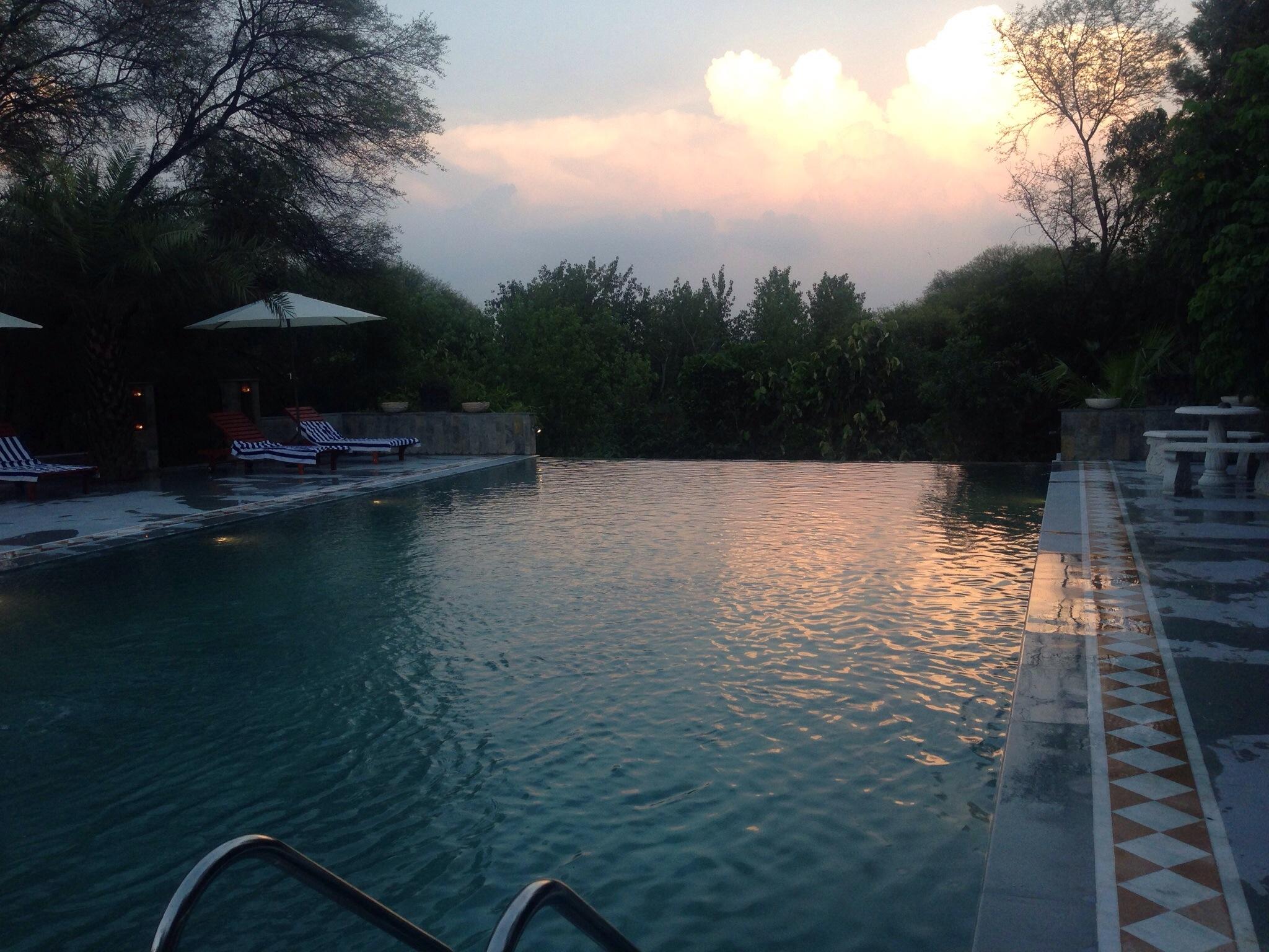 Hotel photo 8 of The Tree House Resort.