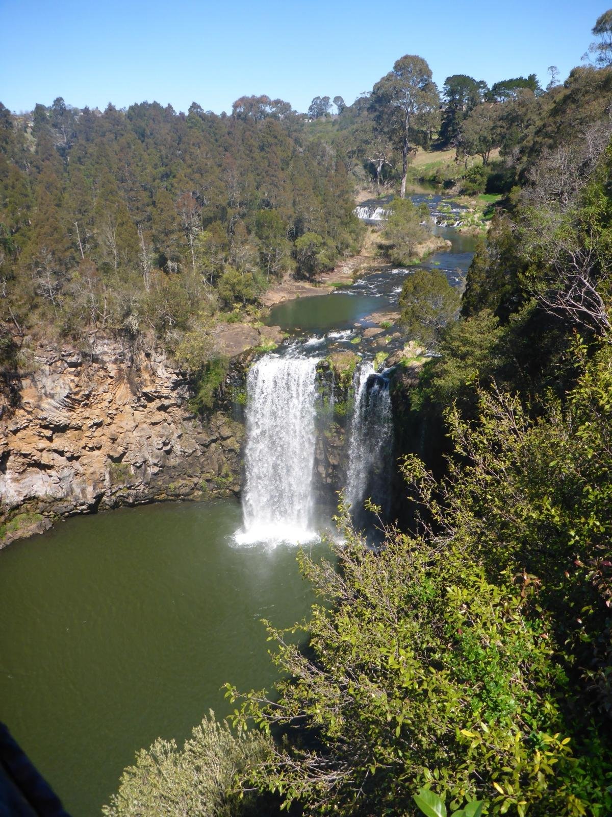 Are Dogs Allowed At Dangar Falls