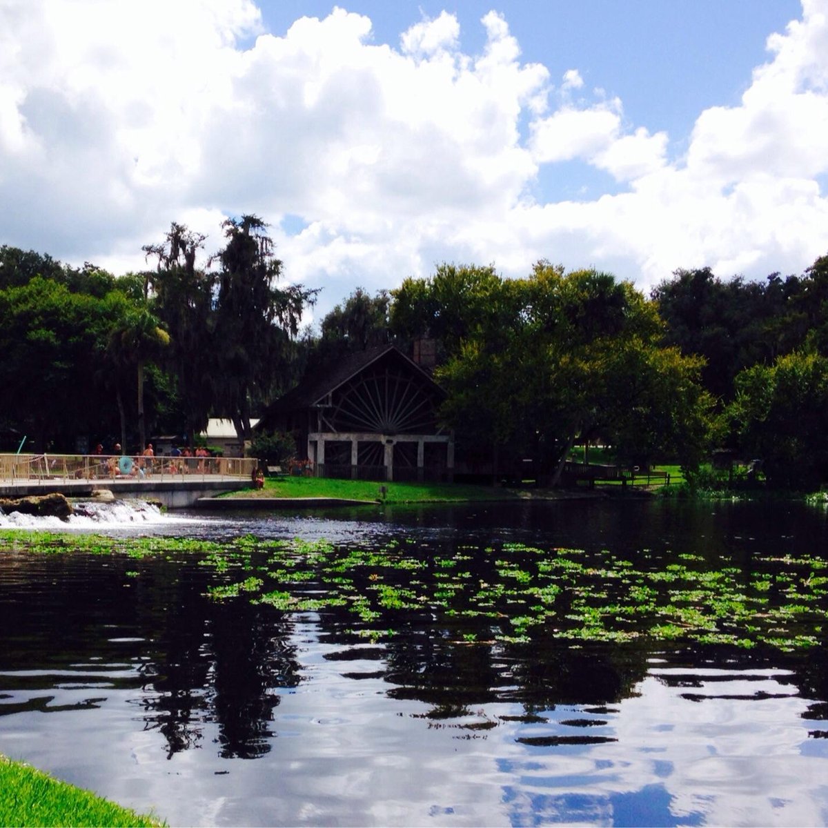 DE LEON SPRINGS STATE PARK : Ce qu'il faut savoir pour votre visite ...