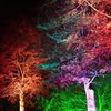 Suse_11